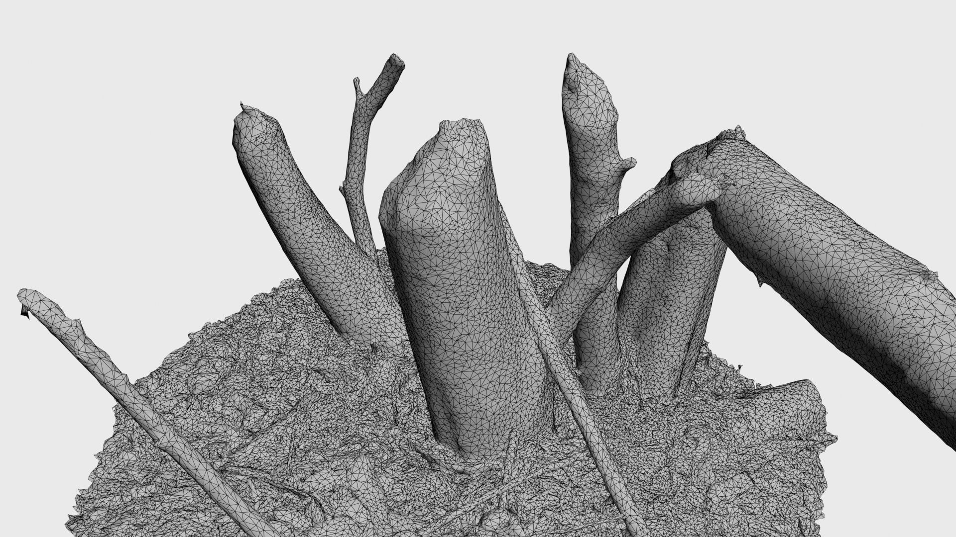 Beaver bitten willow tree stumps pack 3D model_63