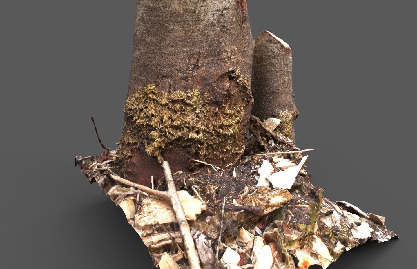 Beaver bitten willow tree stumps pack 3D model_18