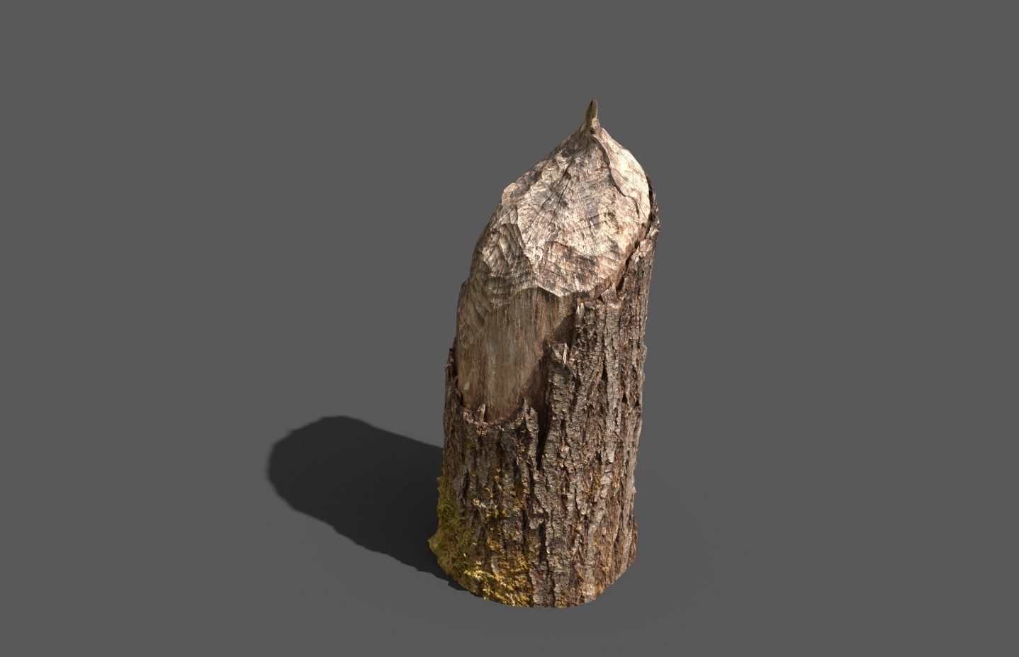 Beaver bitten willow tree stumps pack 3D model_20