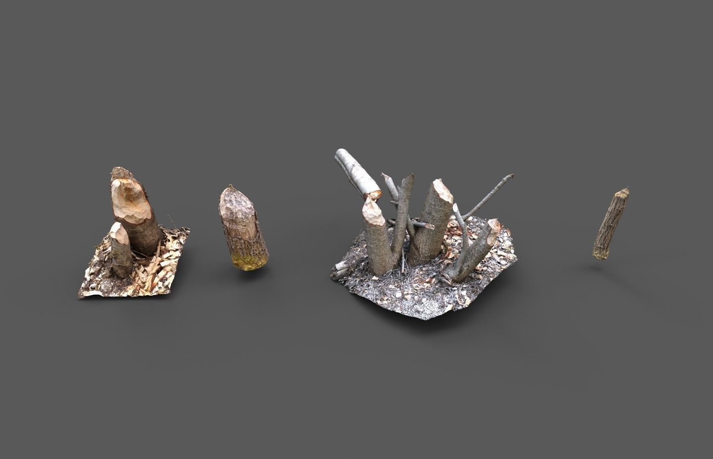 Beaver bitten willow tree stumps pack 3D model_2