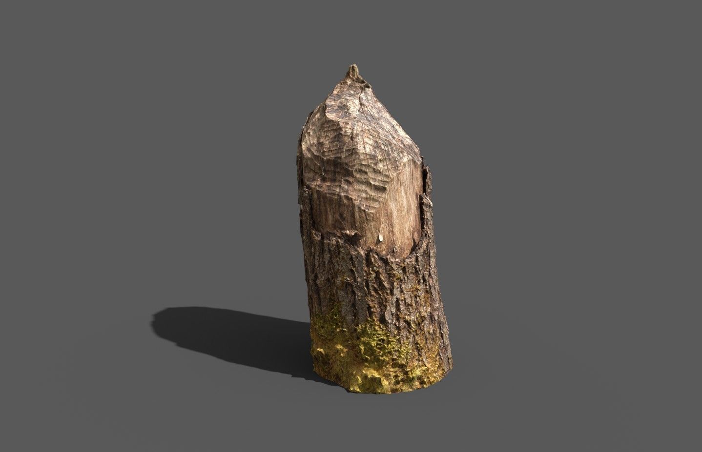 Beaver bitten willow tree stumps pack 3D model_19