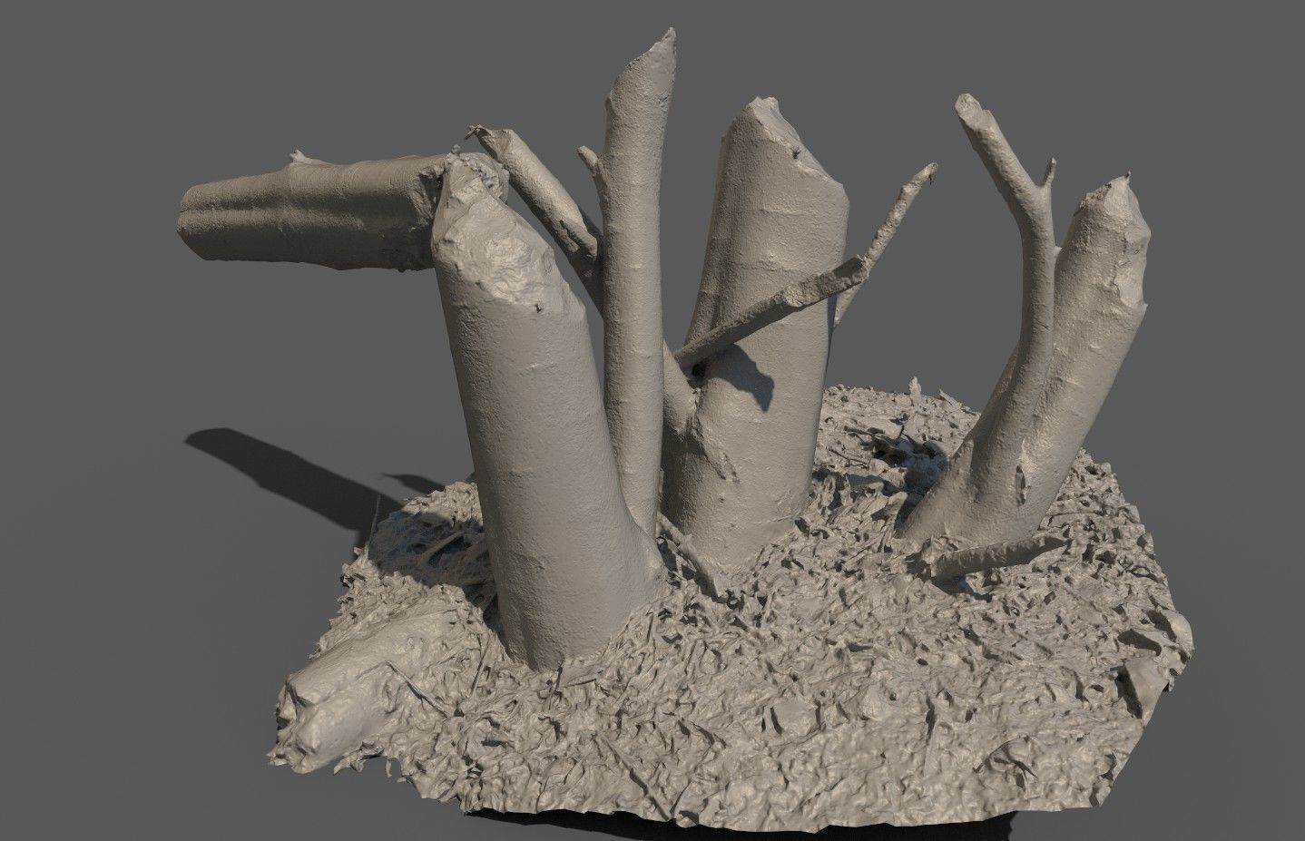 Beaver bitten willow tree stumps pack 3D model_43