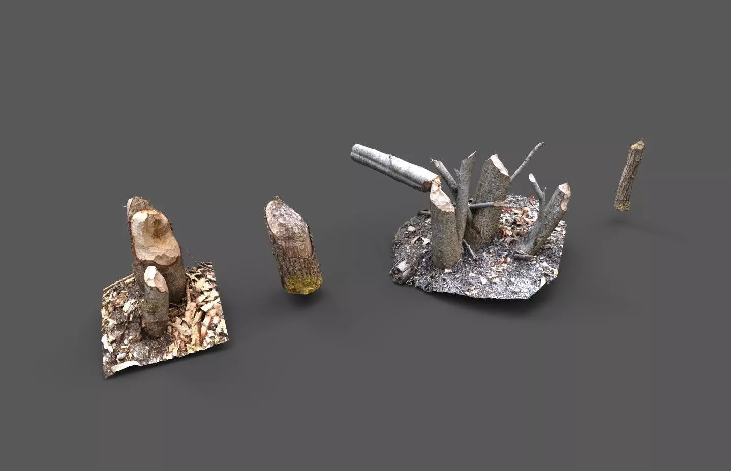 Beaver bitten willow tree stumps pack 3D model_0