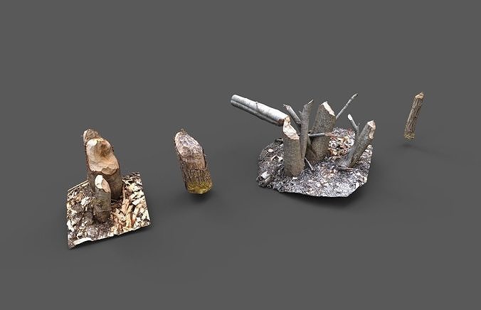 Beaver bitten willow tree stumps pack 3D model