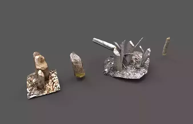 Beaver bitten willow tree stumps pack 3D model