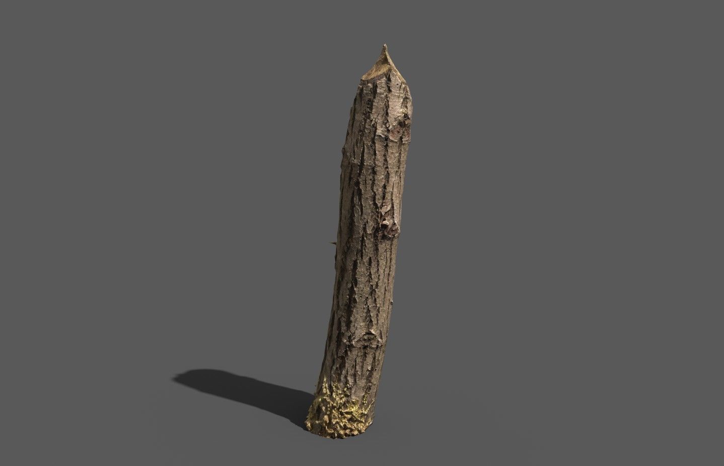 Beaver bitten willow tree stumps pack 3D model_32