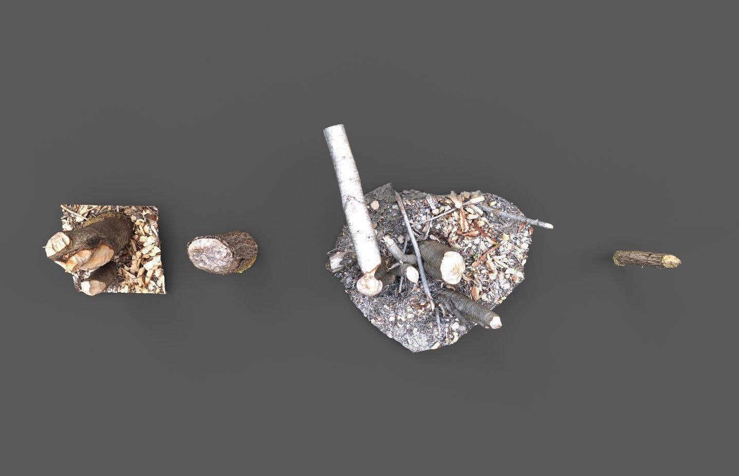 Beaver bitten willow tree stumps pack 3D model_9