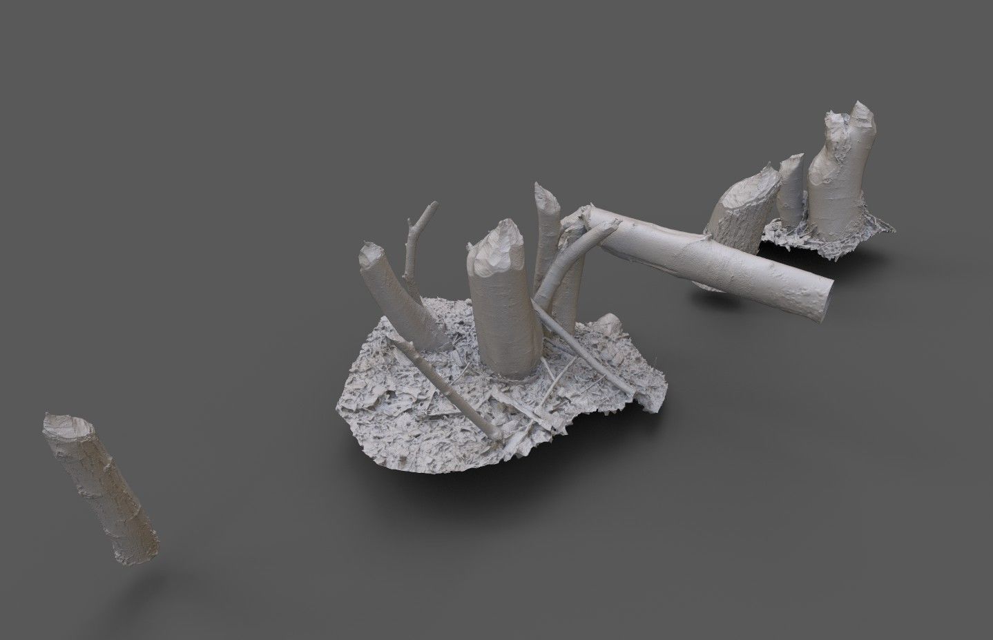 Beaver bitten willow tree stumps pack 3D model_37