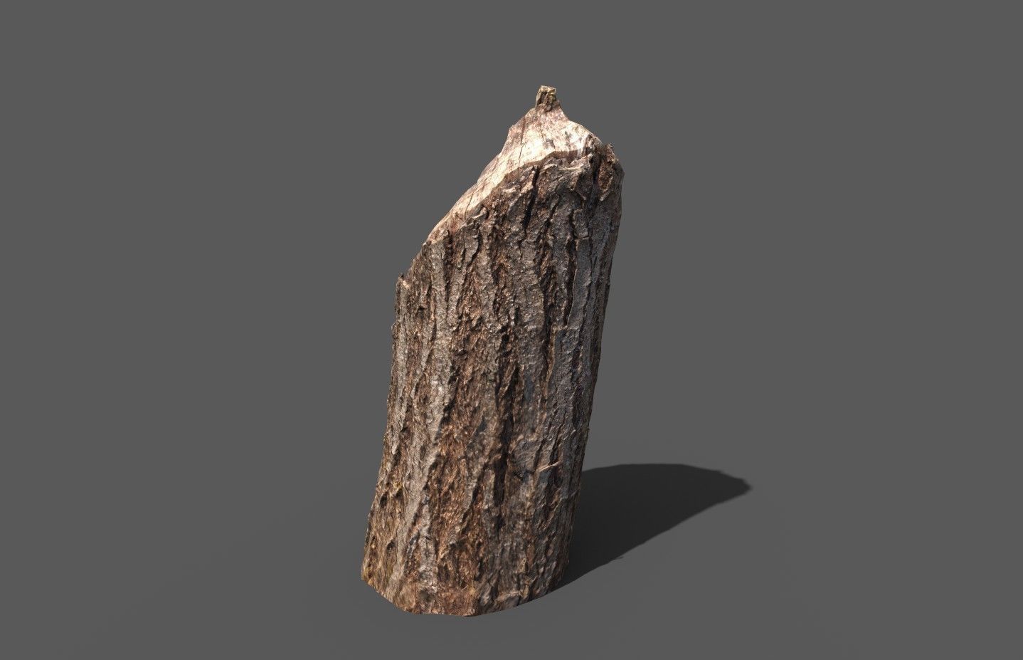 Beaver bitten willow tree stumps pack 3D model_21