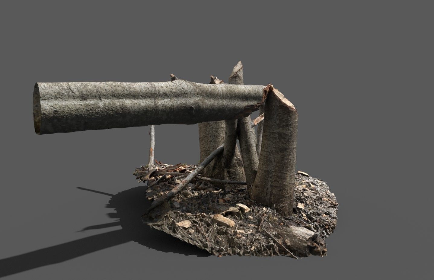 Beaver bitten willow tree stumps pack 3D model_27