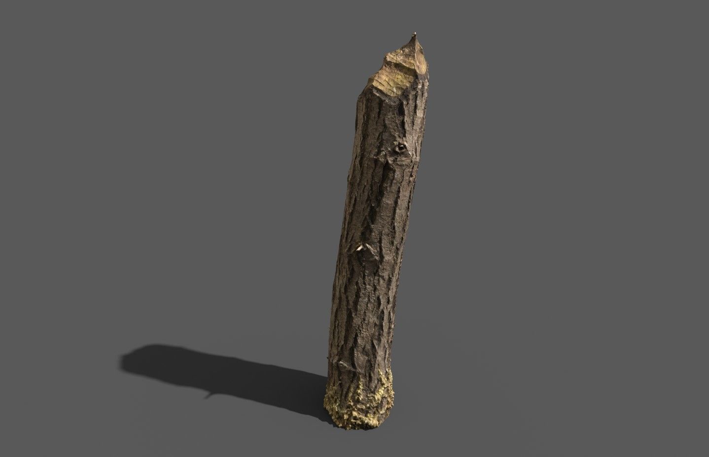 Beaver bitten willow tree stumps pack 3D model_30