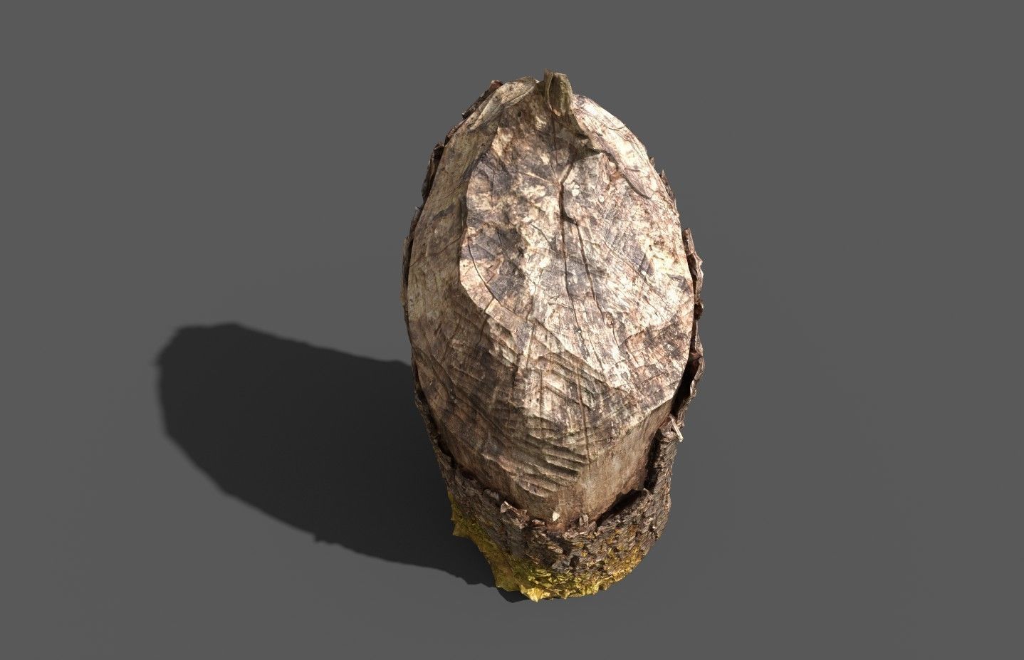 Beaver bitten willow tree stumps pack 3D model_22