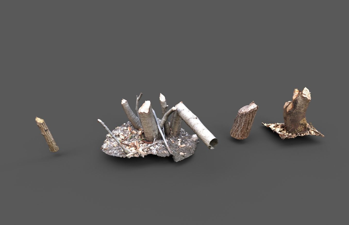 Beaver bitten willow tree stumps pack 3D model_5