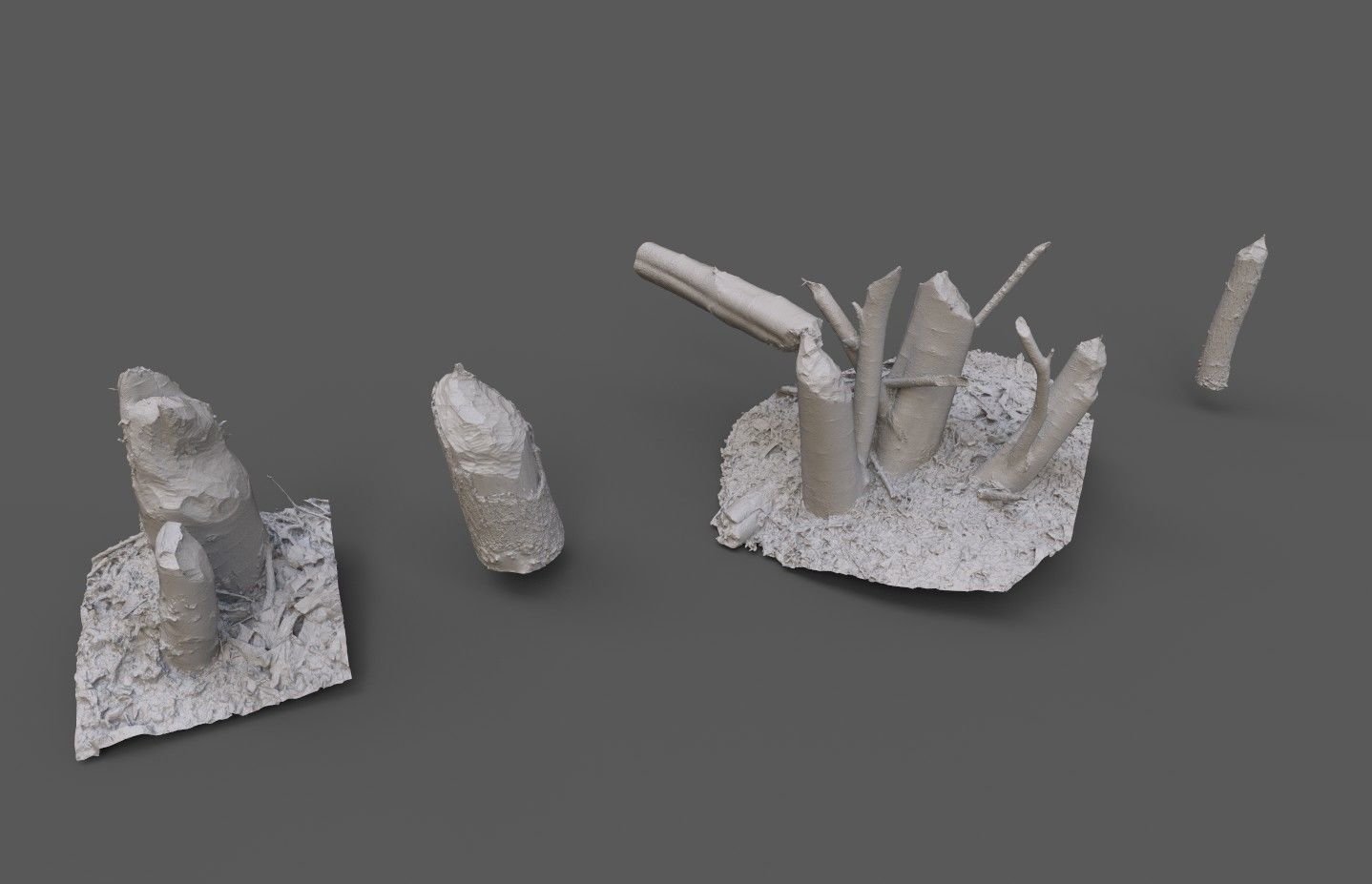 Beaver bitten willow tree stumps pack 3D model_35