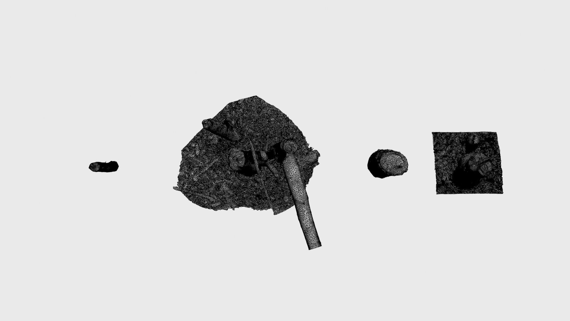 Beaver bitten willow tree stumps pack 3D model_51