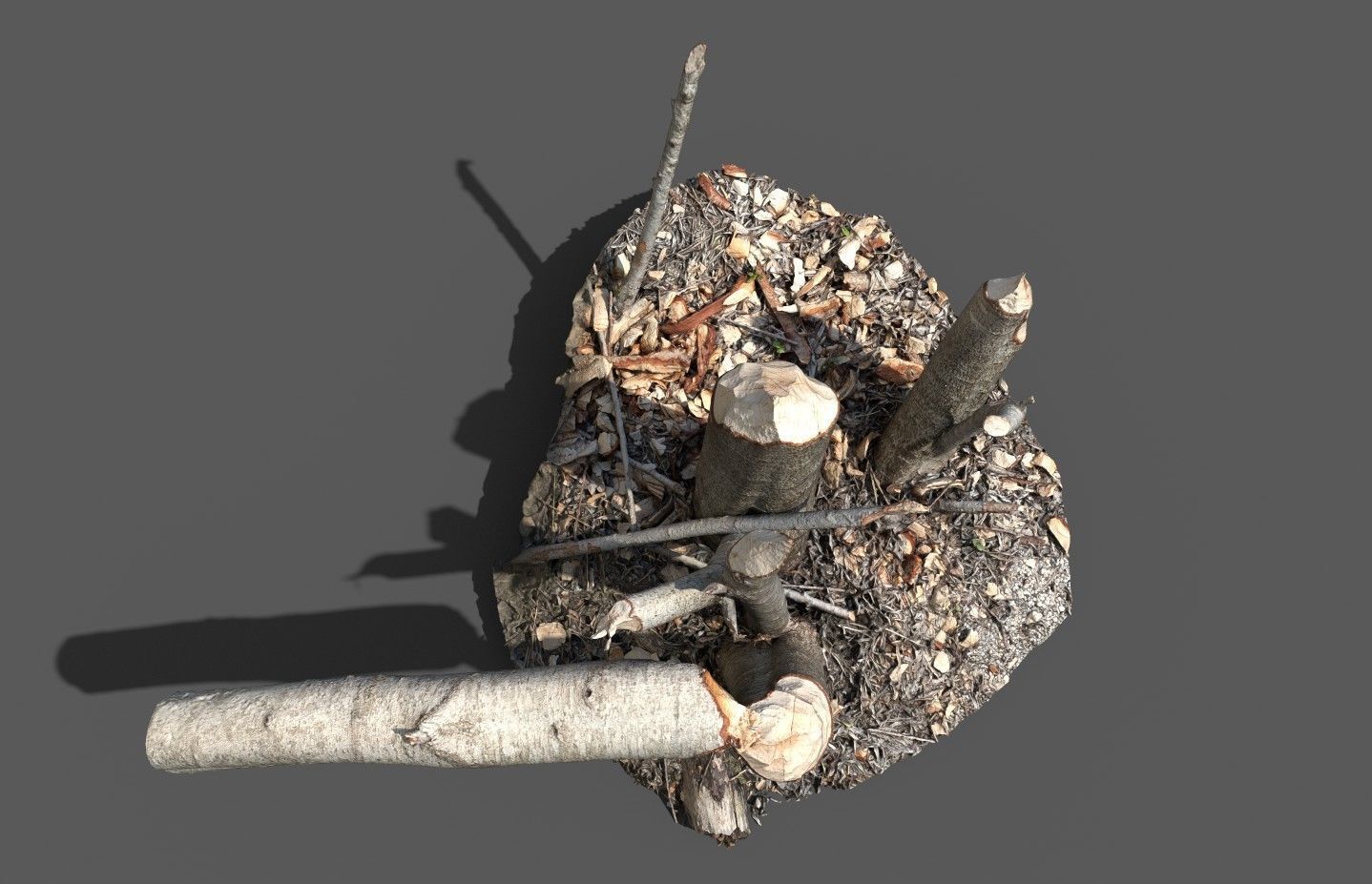 Beaver bitten willow tree stumps pack 3D model_28