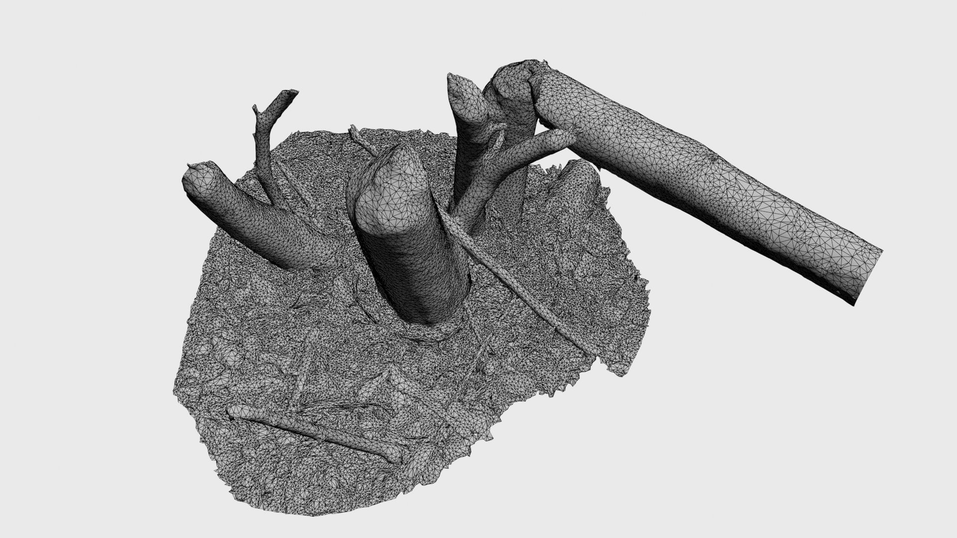 Beaver bitten willow tree stumps pack 3D model_62