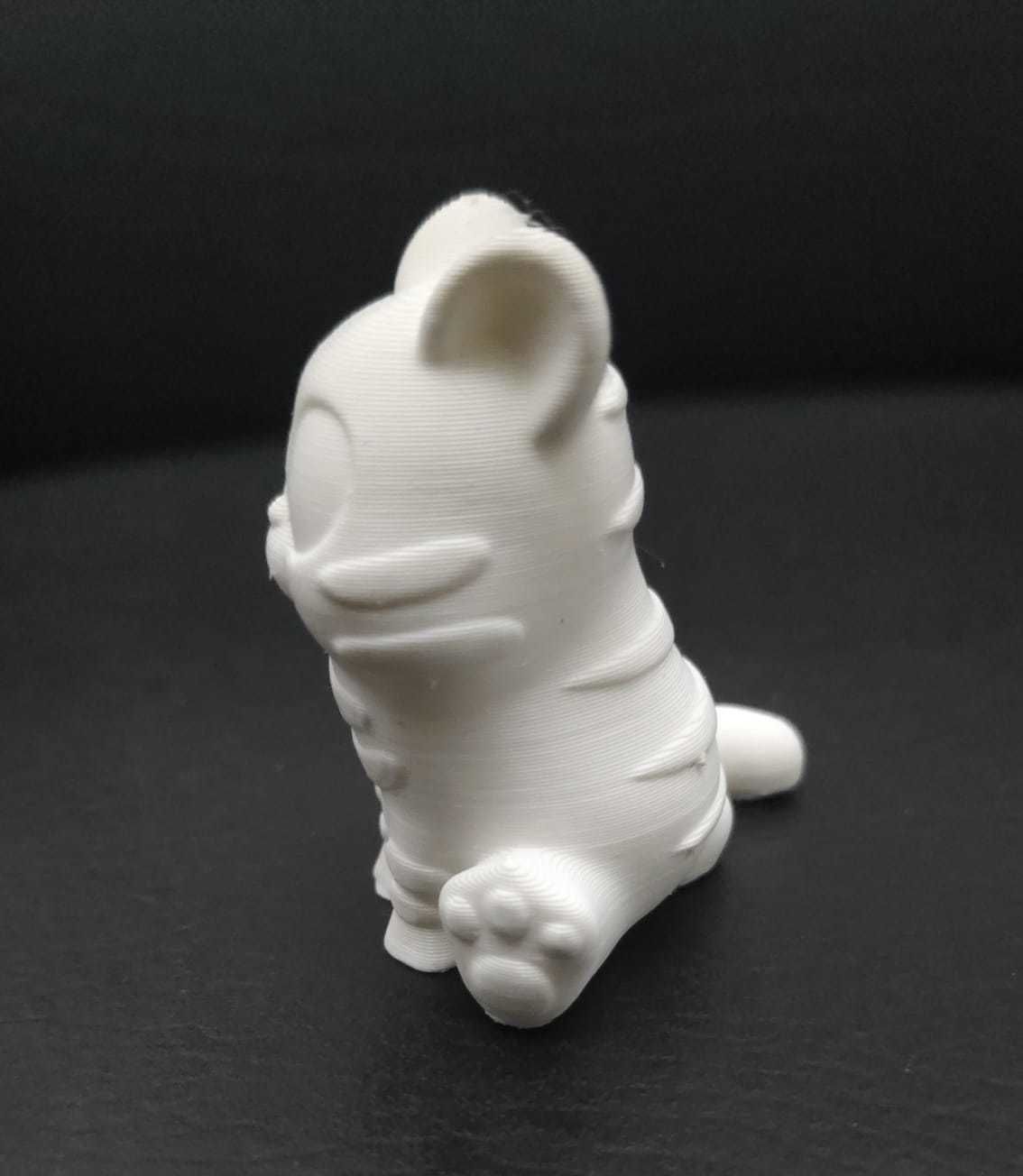 Tiger Big Eyes 3D print model_6