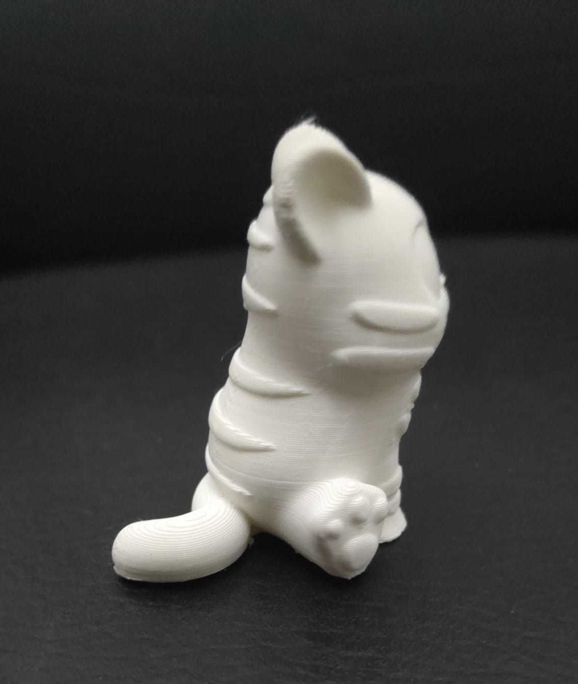 Tiger Big Eyes 3D print model_8