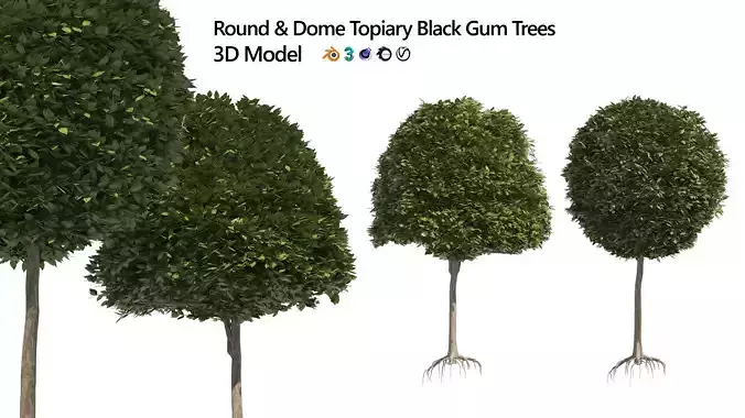 2 round and dome topiary tree 3D model