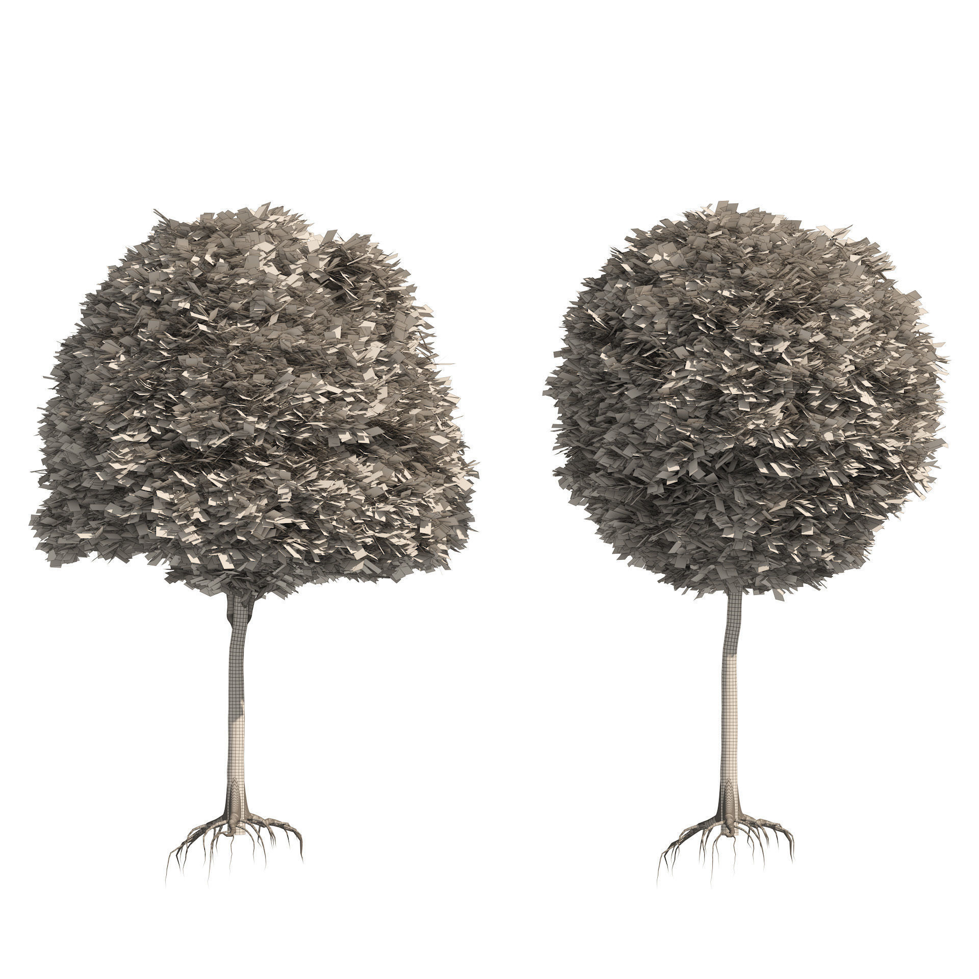 2 round and dome topiary tree 3D model_6