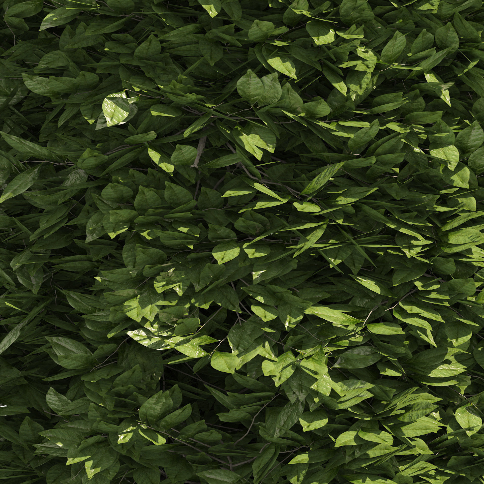 2 round and dome topiary tree 3D model_5