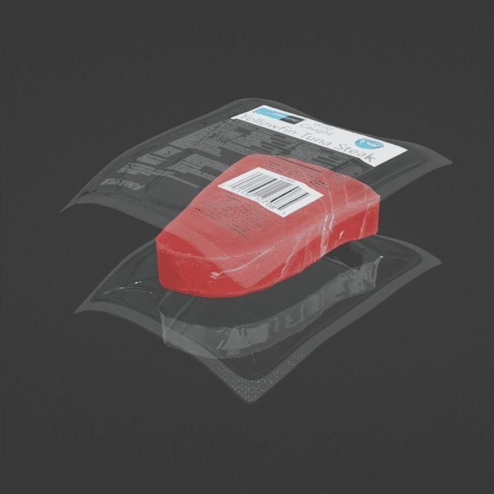 Tuna Steak 3D model_9