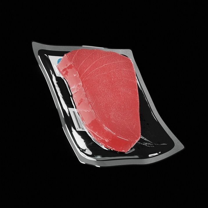 Tuna Steak 3D model_5