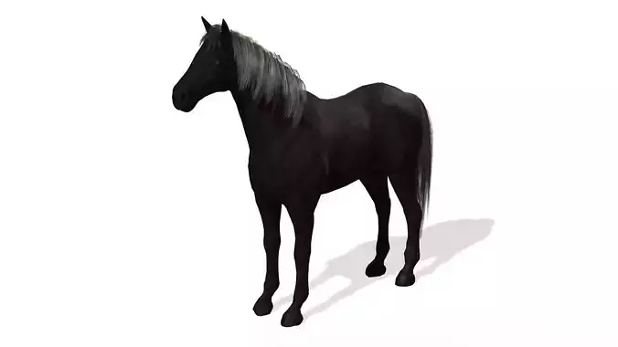 Black Dark Horse Low-poly 3D model