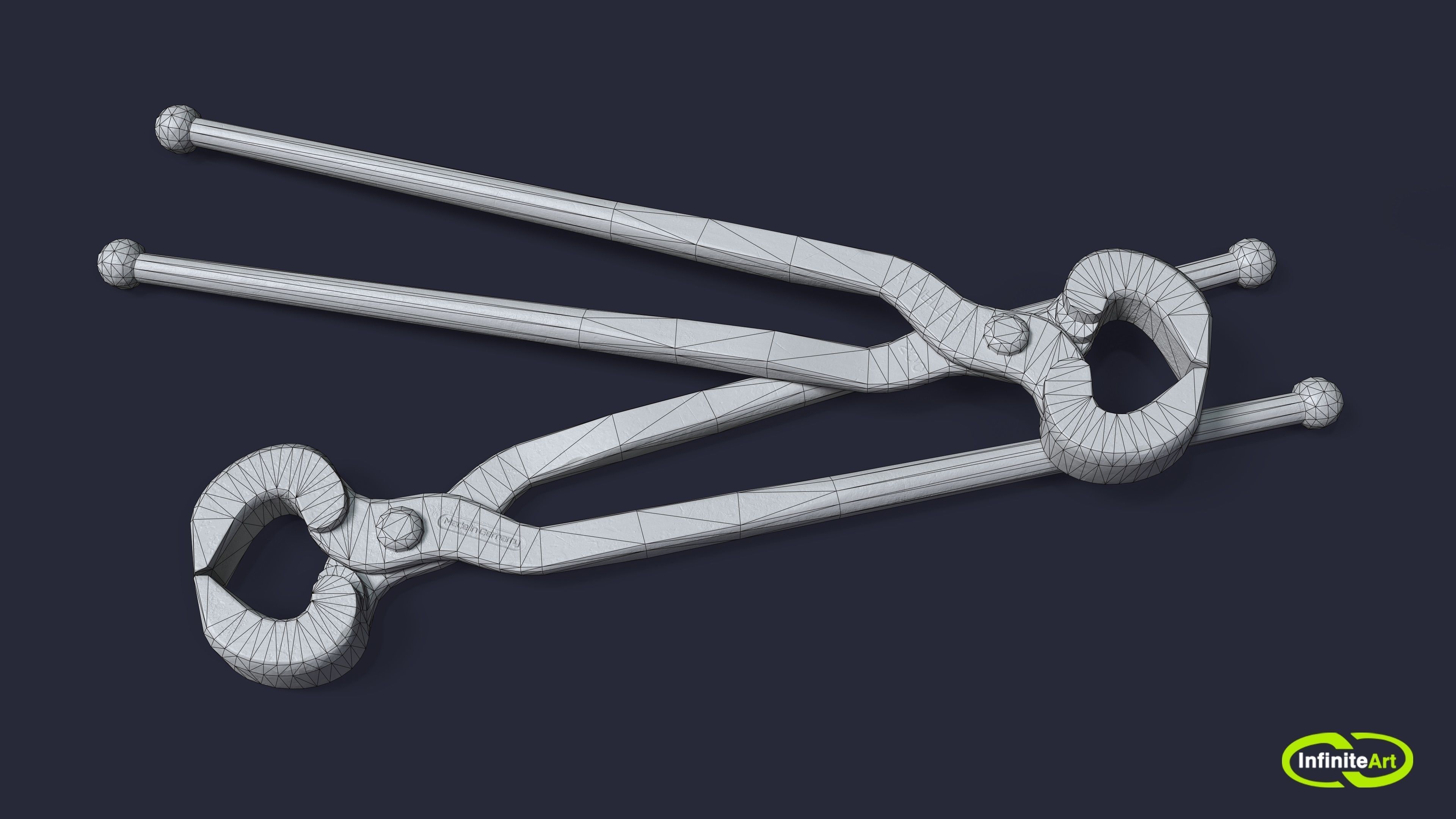 Ticks pincer 3D model_3