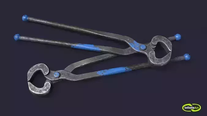 Ticks pincer 3D model