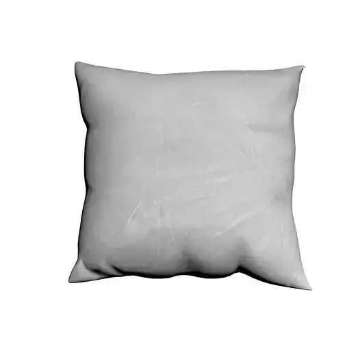 Cushion pillow