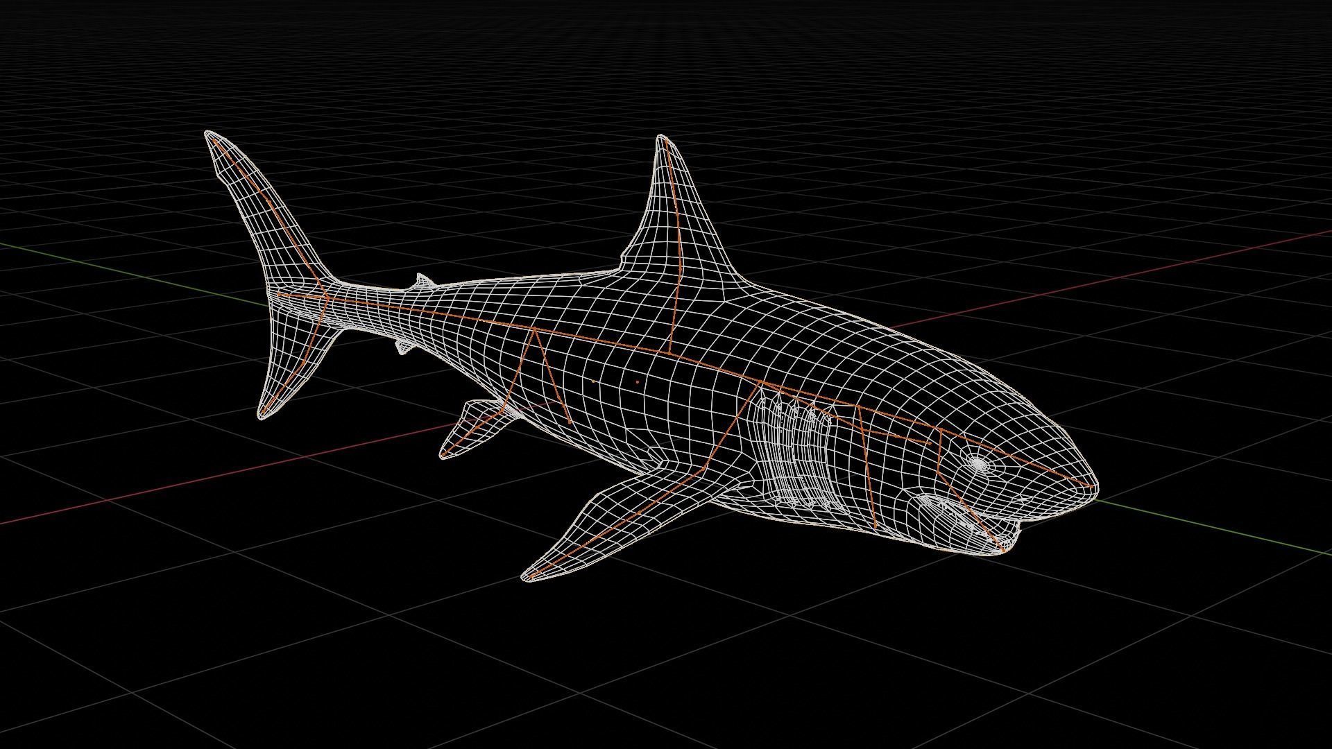 Great white shark Low-poly 3D model_18