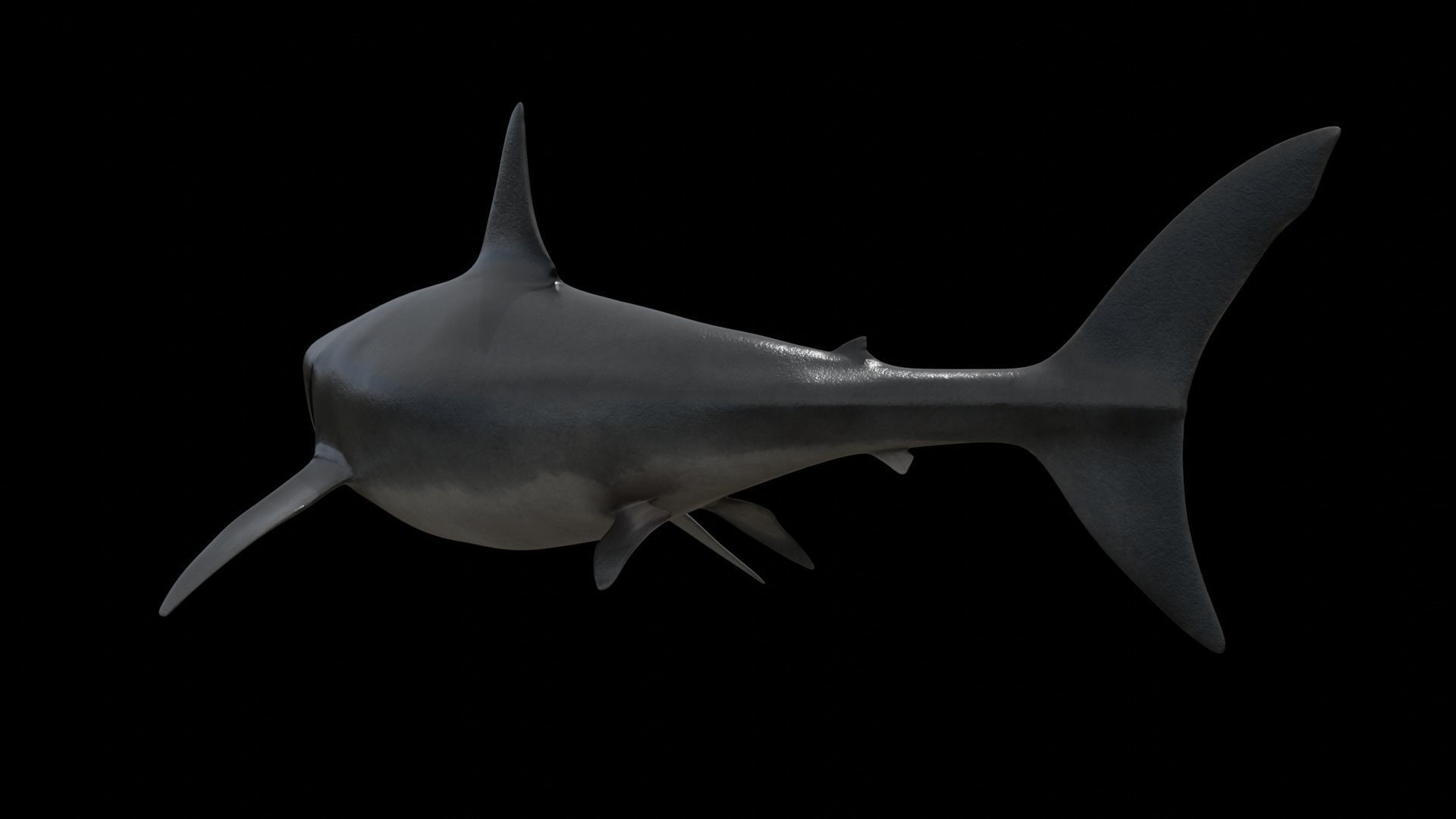 Great white shark Low-poly 3D model_25