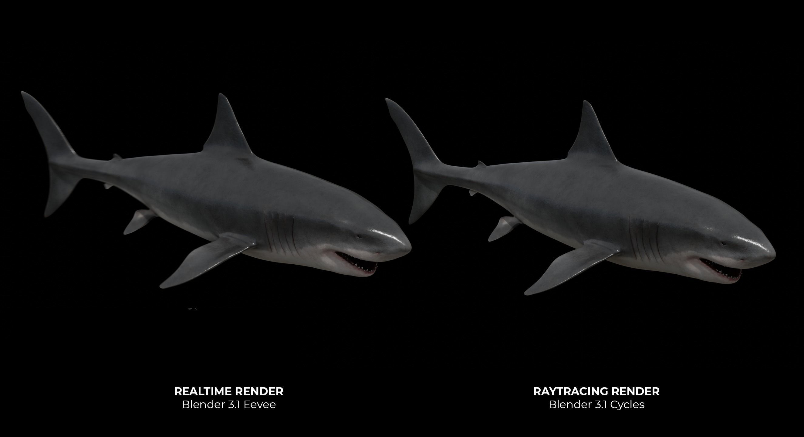 Great white shark Low-poly 3D model_2
