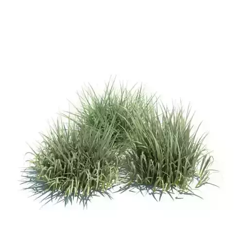 Green Grass 3D model