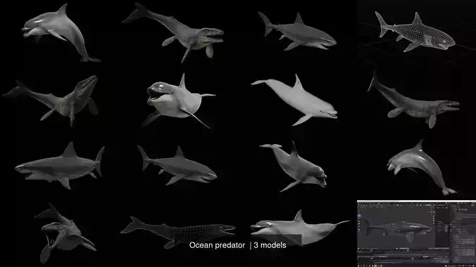 Ocean predator  3D Model Collection