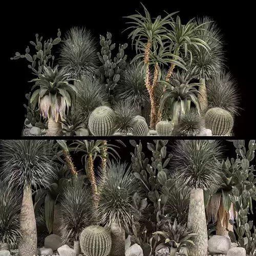 Collection Plants Desert Flowerbed With Cactus 1117 3D model