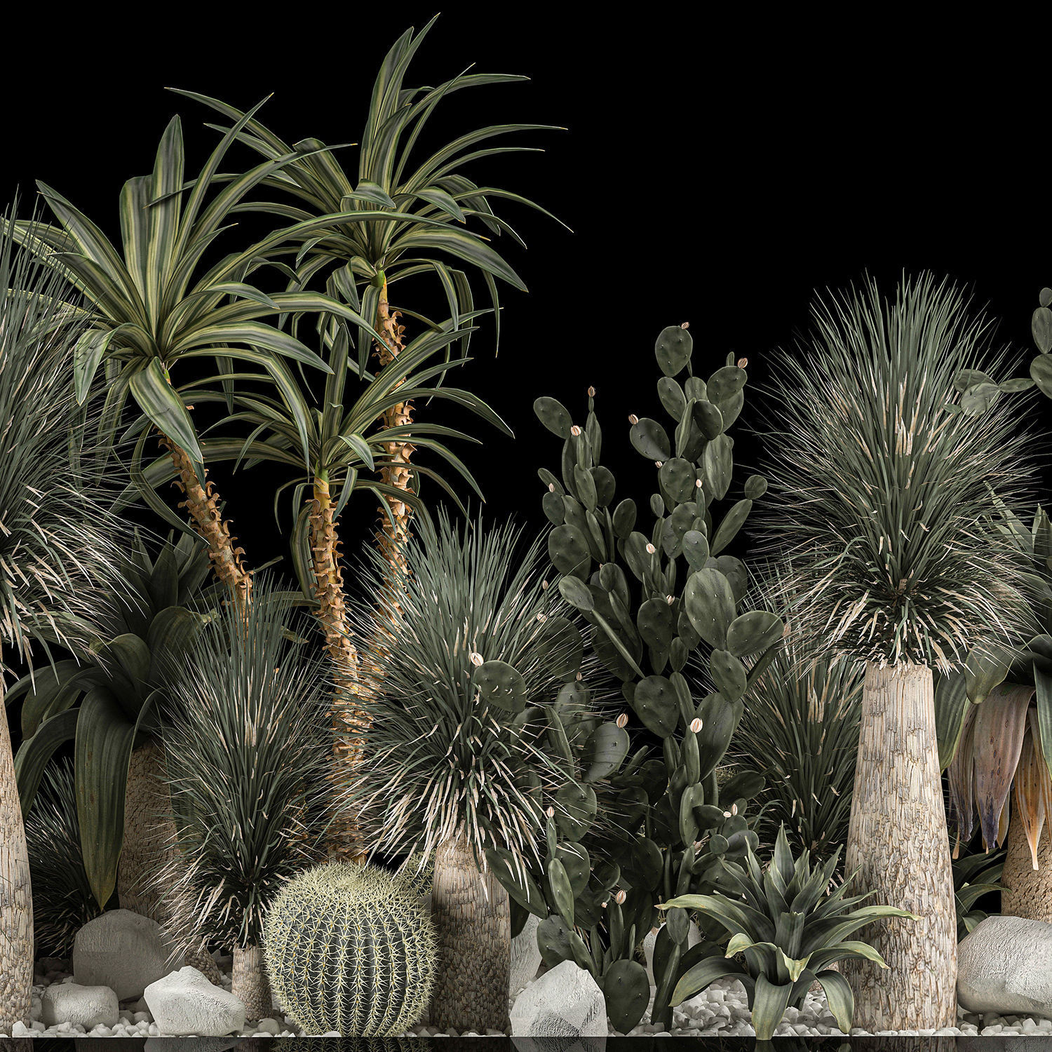 Collection Plants Desert Flowerbed With Cactus 1117 3D model_2