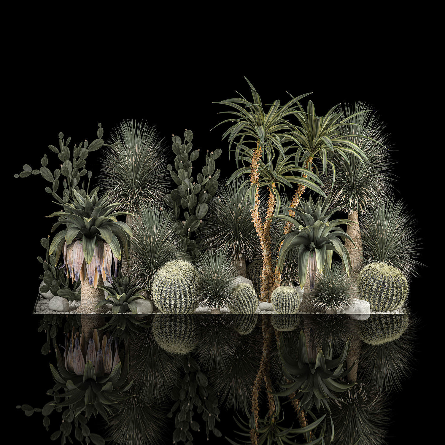 Collection Plants Desert Flowerbed With Cactus 1117 3D model_1