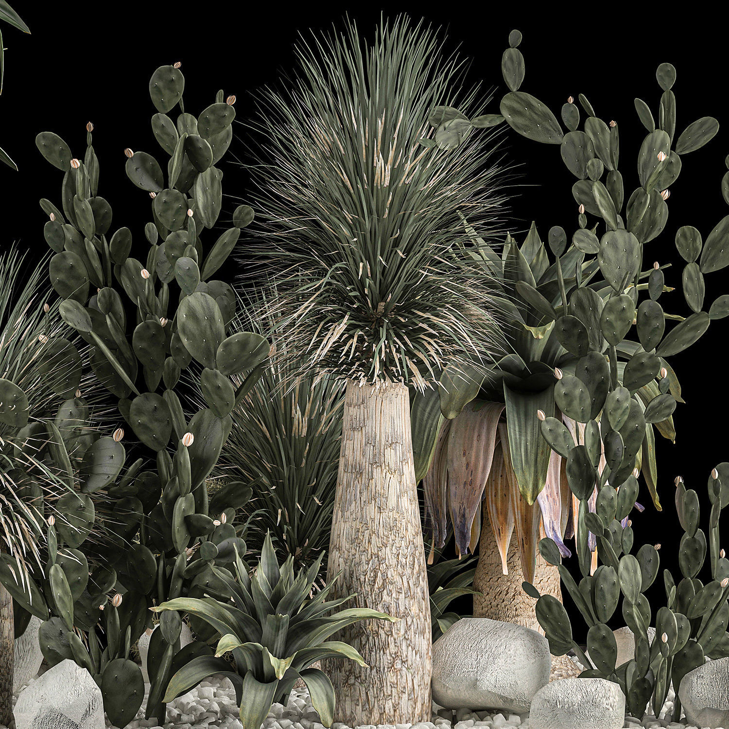 Collection Plants Desert Flowerbed With Cactus 1117 3D model_6