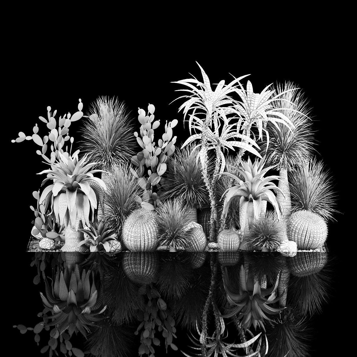 Collection Plants Desert Flowerbed With Cactus 1117 3D model_7