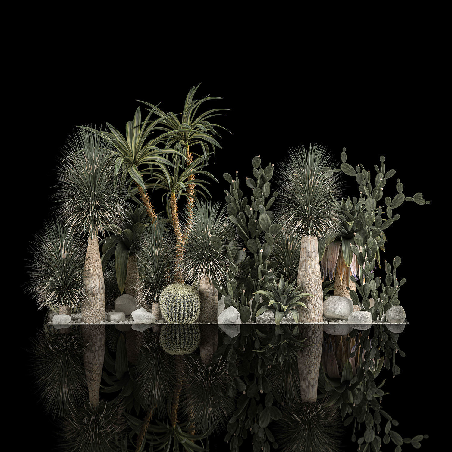 Collection Plants Desert Flowerbed With Cactus 1117 3D model_4