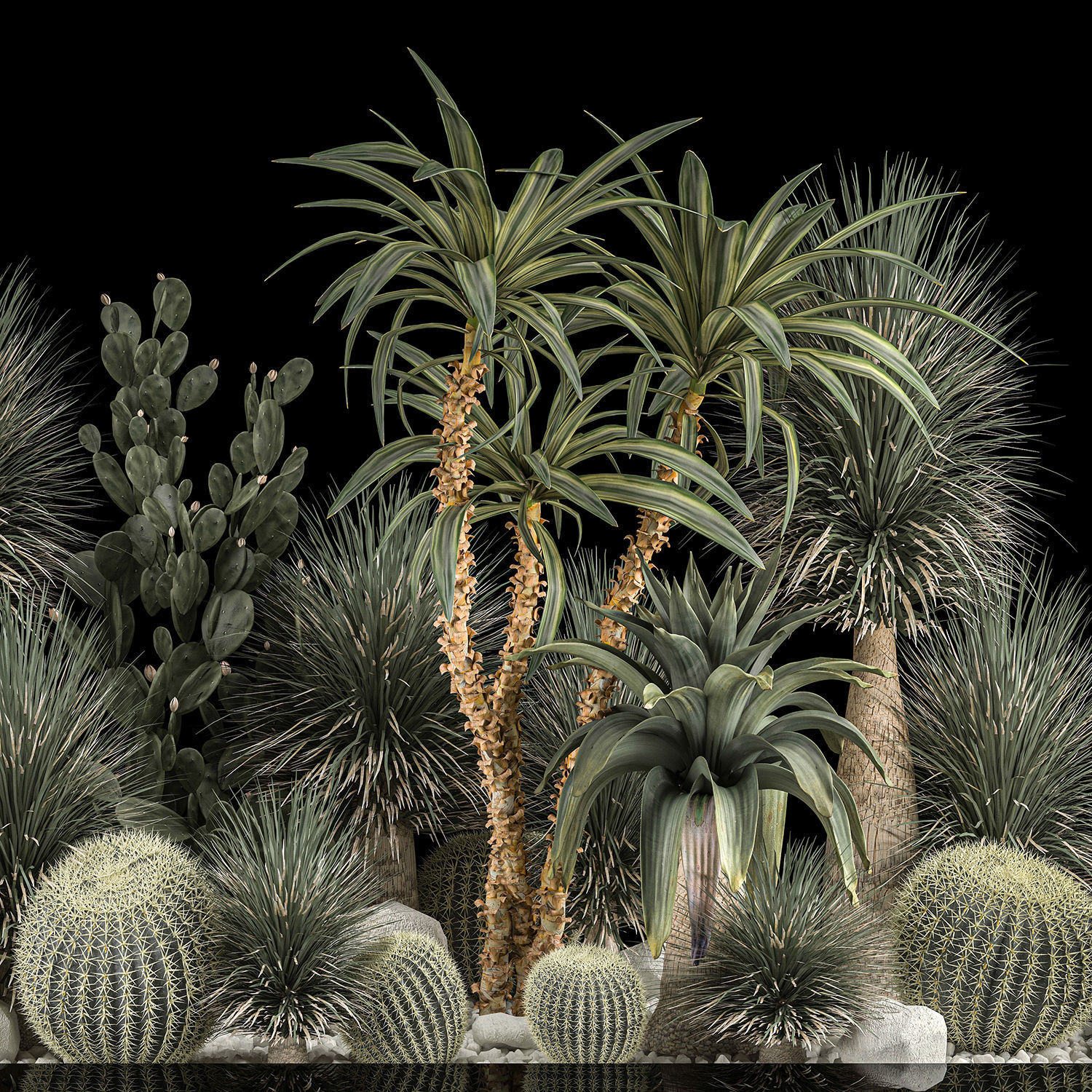 Collection Plants Desert Flowerbed With Cactus 1117 3D model_5