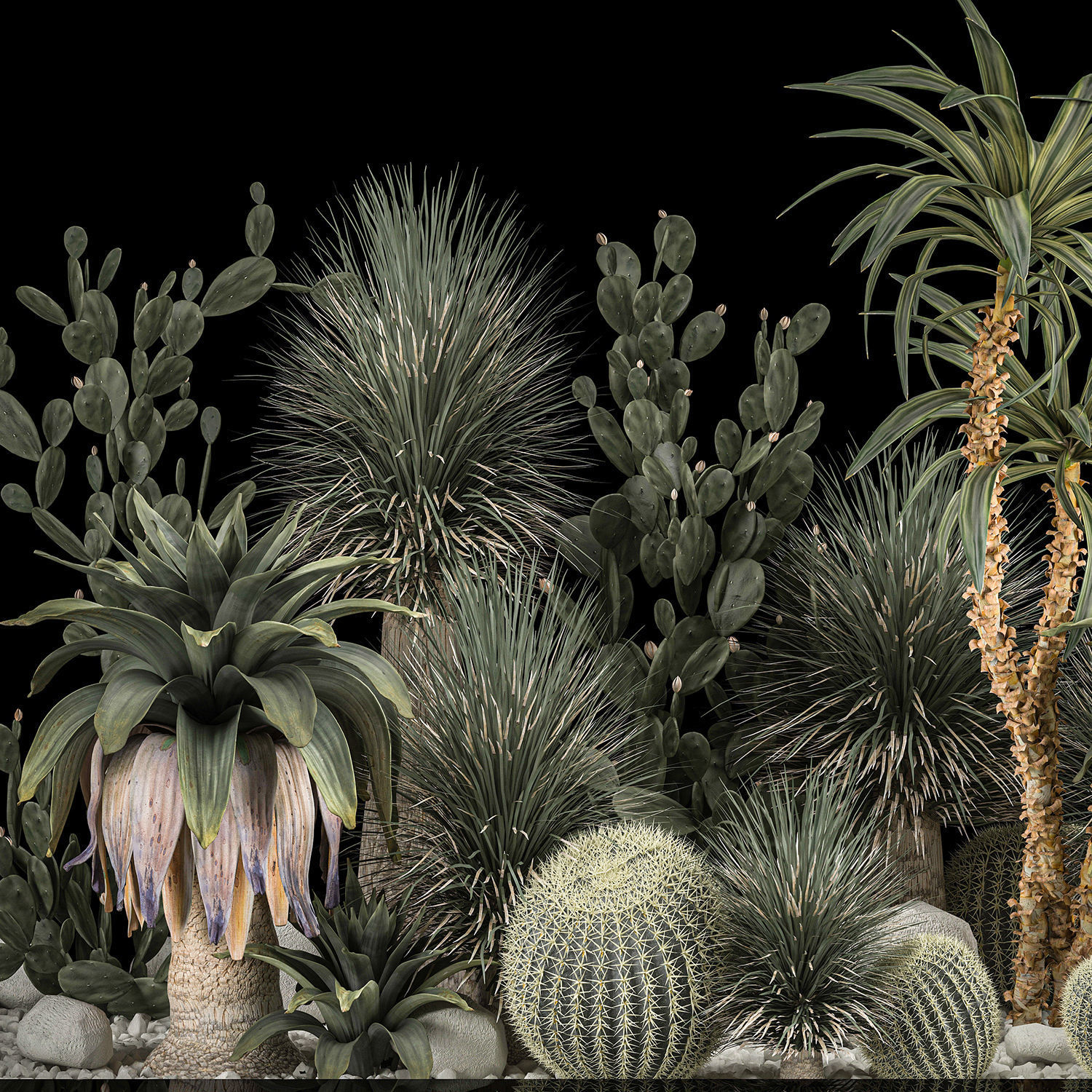 Collection Plants Desert Flowerbed With Cactus 1117 3D model_3