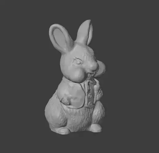 Standing Wearing Jacket Bunney