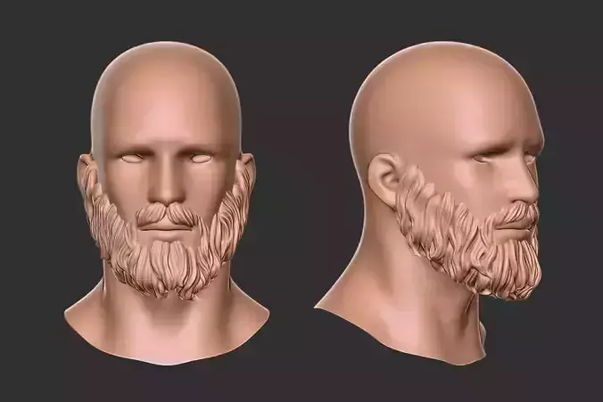 beard 2 3D print model