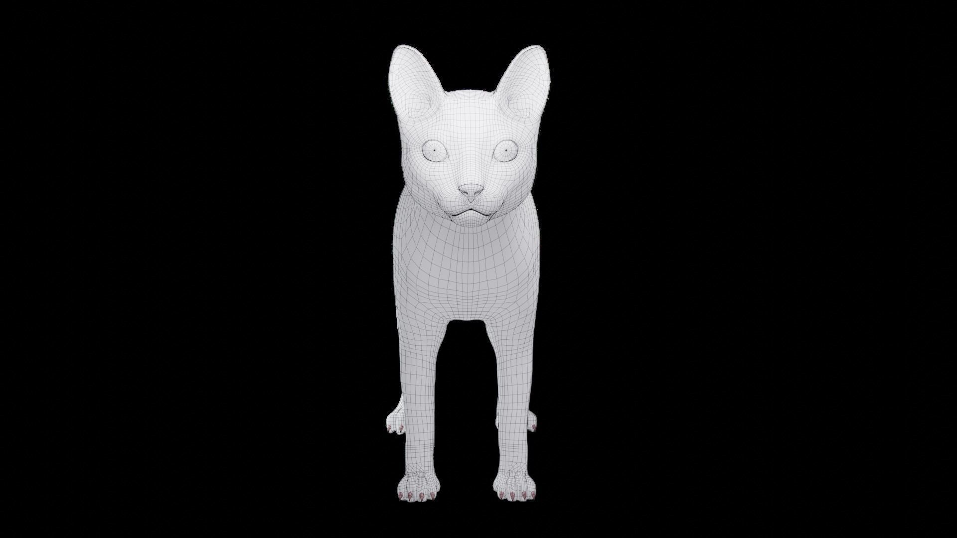 Fur Cat Black Rigged in Blender Low-poly 3D model_22