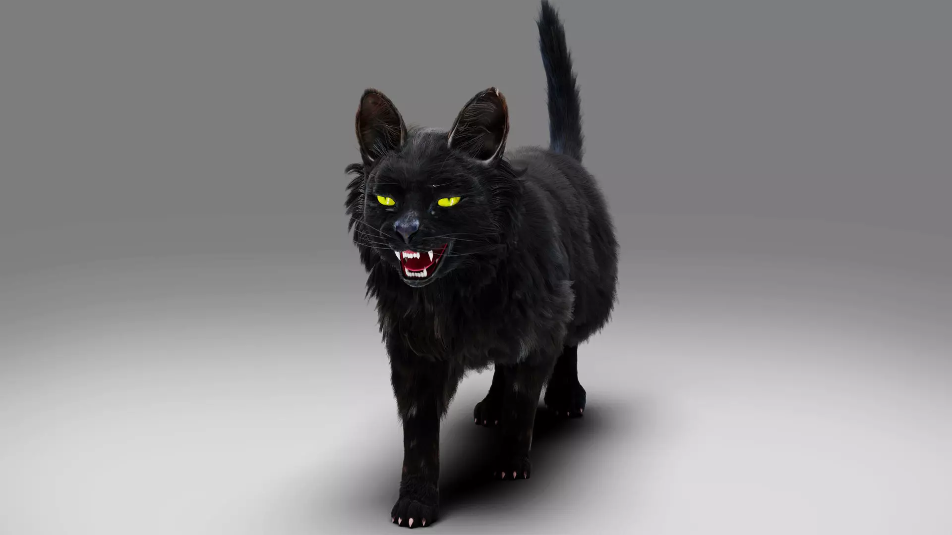 Fur Cat Black Rigged in Blender Low-poly 3D model_0