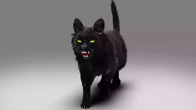 Fur Cat Black Rigged in Blender